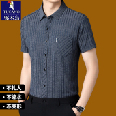 休闲百搭中年宽松短袖 正品 桑蚕丝亚麻衬衫 夏季 衬衣 啄木鸟高档男士