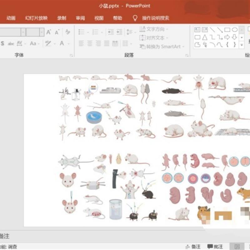 小鼠 实验器材 人体器官 细胞科研绘图素材 PPT AI格式的源文件