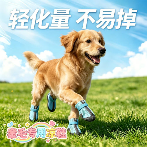 金毛专用幼犬狗狗凉鞋小狗鞋子夏天透气宠物狗夏季软底甩不掉网眼