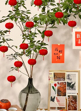 新年植绒小红灯笼挂饰串树上户外盆景布置结婚春节日喜庆装饰灯笼