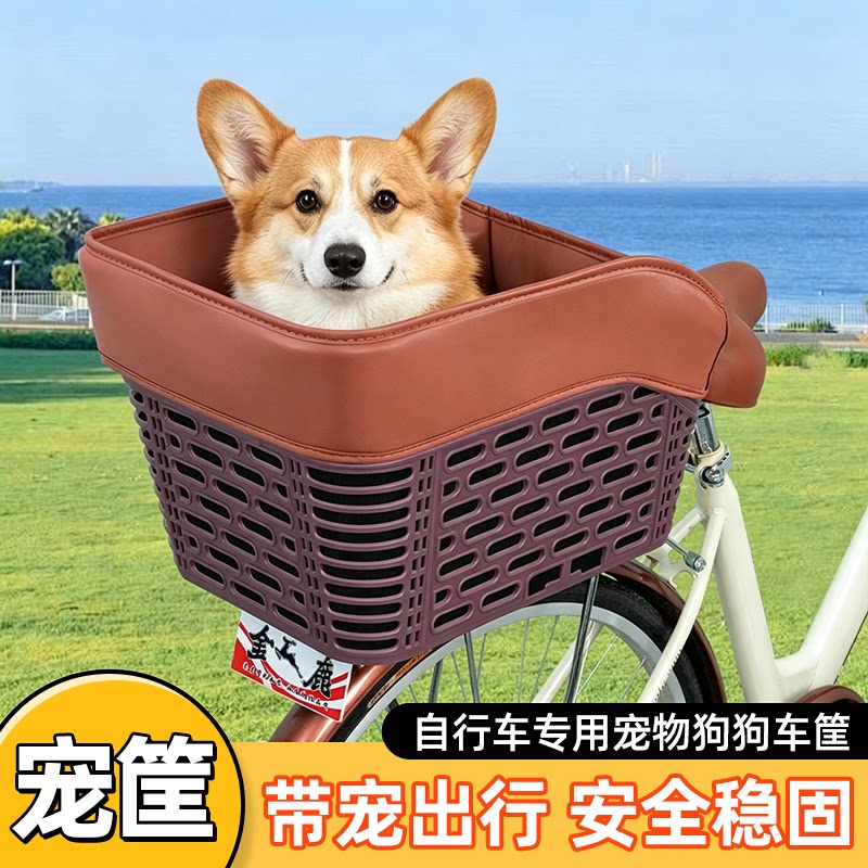 自行车专用加大后置车筐