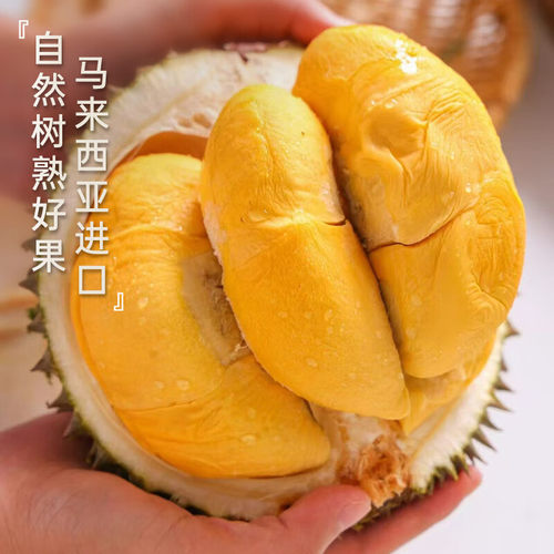 喜得猫正宗黑刺榴莲马来西亚进口