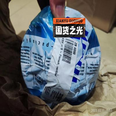 【议价】德国原装stoz zb4550 stoz KSW-3油泵库存