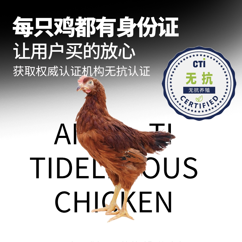 哥哥鲜无抗无激素走地黄油鸡整鸡
