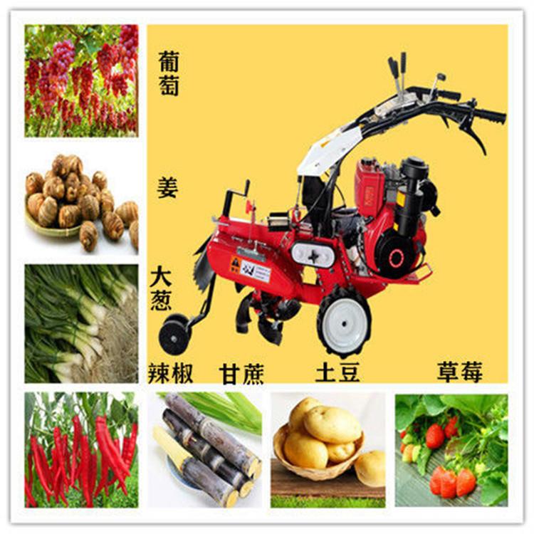 小型起垄机农用挖沟机种姜开沟机多功能四驱微耕机培土机回填机