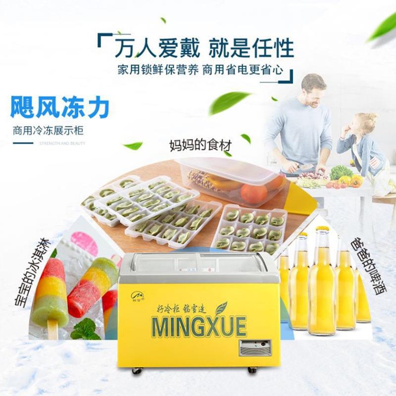 铭雪商用冰箱弧形玻璃移门冰柜雪糕冰激淋柜海鲜展示柜超市冷柜