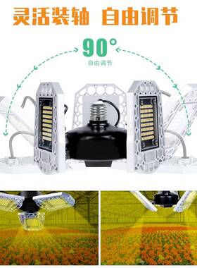热销e水d植物生长灯全光谱防l折可叠216珠240珠2A款变形97珠植物