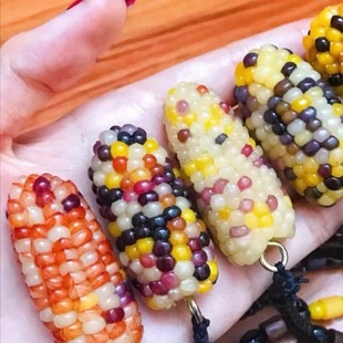 文玩七彩血丝小玉米种子手工文玩玉米时尚盘玩苞米各类甜糯玉米