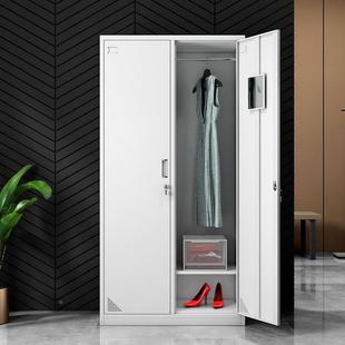 钢制二门更衣柜员工办公铁皮换衣柜带锁储物柜工厂宿舍鞋柜收纳柜