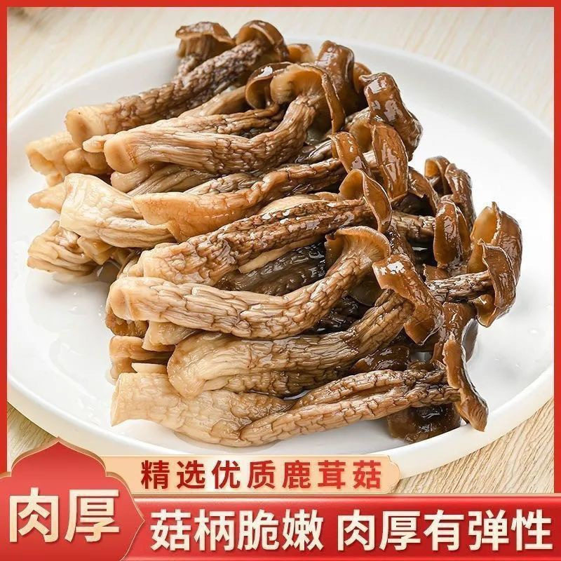 2026新货精品鹿茸菇干货