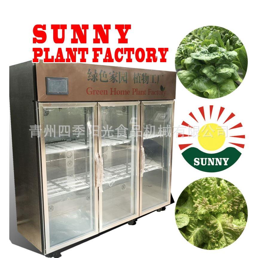 自动化恒温水培蔬菜种植设备生菜种子催芽机沙拉蔬菜生长机械