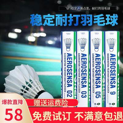 YY羽毛球耐打室内外防风专业训练比赛专用球AS9/AS05鸭毛球鹅毛球