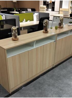 文件柜/资料柜/矮柜/书柜/档案柜推拉门柜定制柜花槽柜子绿色柜