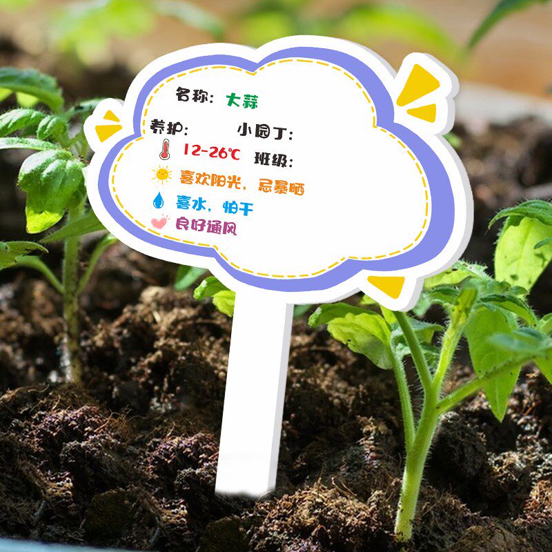 热销植物标记花盆牌幼儿园小学学校花卉盆栽多肉绿萝绿植标签标识