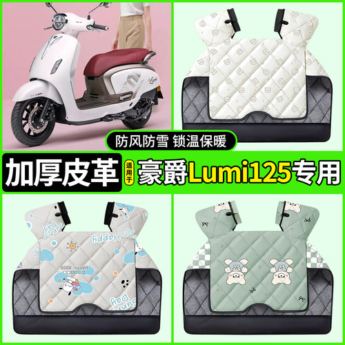 适用【豪爵Lumi125】加厚挡风被