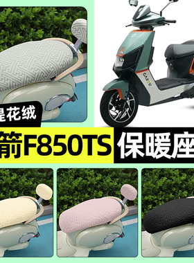 适用金箭F850TS电瓶电动车专用座套冬季加绒坐垫套罩装饰改装配件