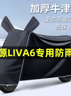 绿源liva6电瓶车电动车2024改装装饰配件专用车衣车罩防晒防雨罩