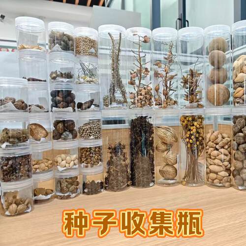 幼儿园环创秋季种子收纳瓶自然角区域装饰植物收集瓶户外活动瓶