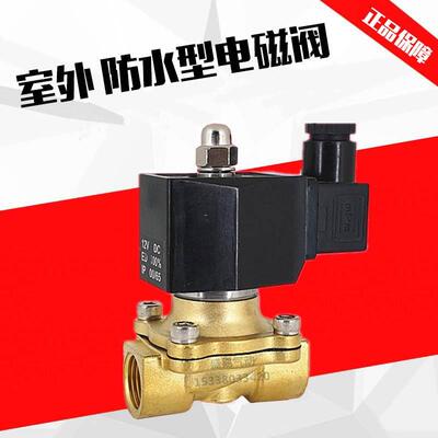 4分室外专用防水电磁阀水阀开关阀2W160-15 防雾气阀AC220V DC24V