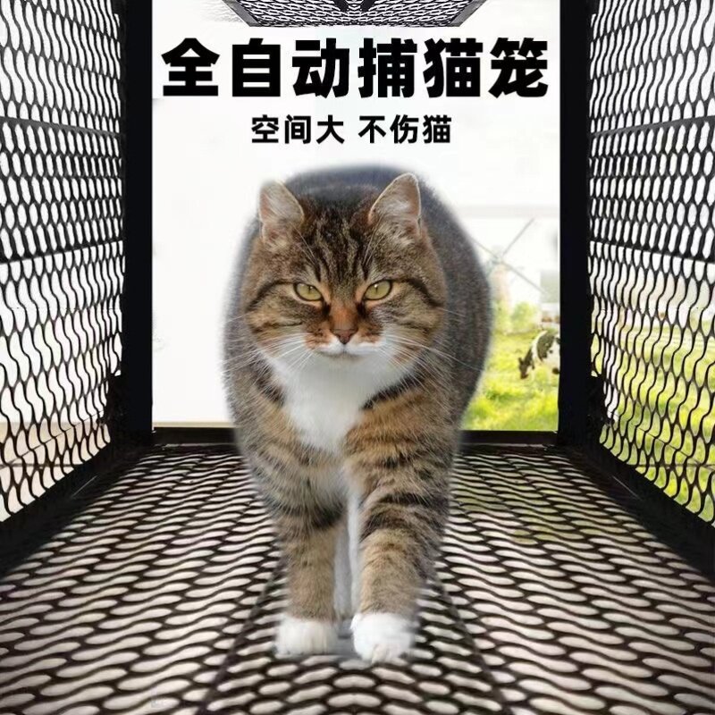 夹子抓猫笼捉中号捕抓鼠笼安全笼救助无伤害铁大型逮