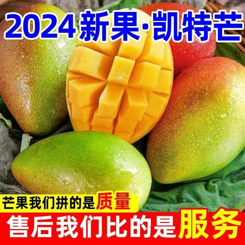 正宗攀枝花凯特芒