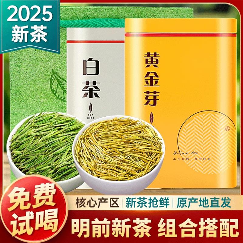 明前白茶黄金芽2025新茶罐装茶叶浓香型绿茶自己喝官方正品旗舰店