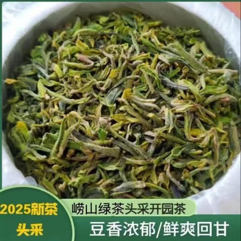 2025正宗青岛崂山绿茶明前春茶头采新茶手工卷曲碧螺春豌豆香礼盒