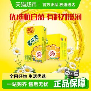 维他菊花茶饮料优选杭白菊礼盒装送礼饮品