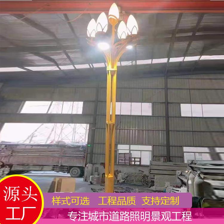 道路照明灯LED玉兰灯中华灯6米8米10米市政工程8叉9火
