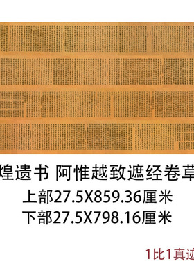 敦煌藏经阁遗书写经阿惟越致遮经