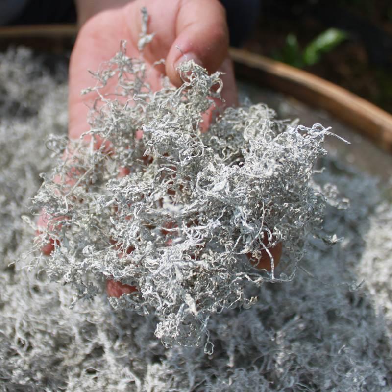 湘品金叶莓茶张家界莓茶芽尖