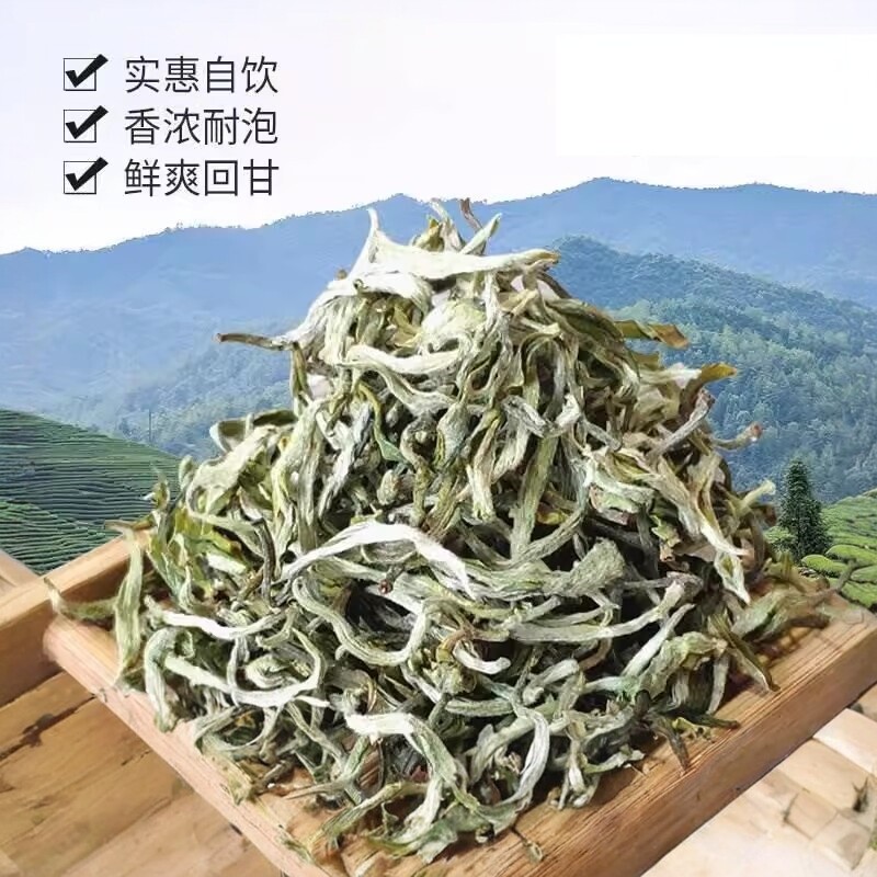 明前早春茶甘肃兰州临夏春尖茶清