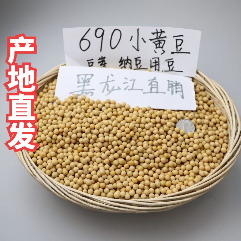新粮非转基因极小粒690黄豆生发豆芽纳豆专用小黄金黄豆浆5斤黄豆