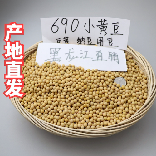 新粮非转基因极小粒黄豆