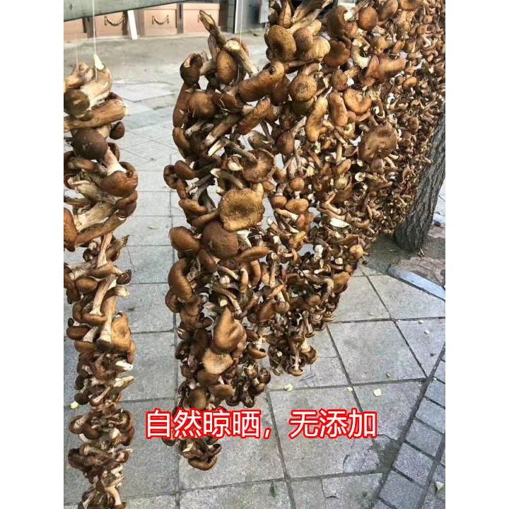 新货东北山珍特产野生榛