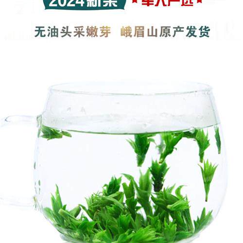 峨眉山普贤茶 2024新茶小叶苦丁茶青山绿水特级无油嫩芽茶叶包邮