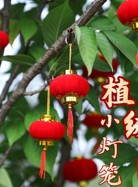 灯笼新年大红植绒小灯笼小区树上装饰结婚喜庆乔迁室内外绿植挂件