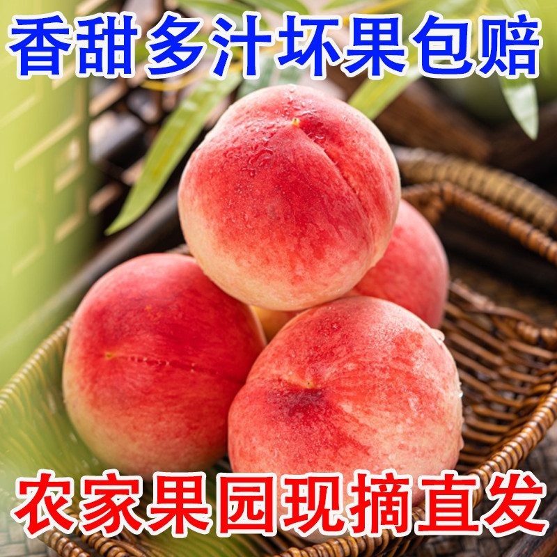 【顺丰包邮】脆桃毛桃安徽六安突围桃子农家果园现摘超甜新鲜桃子
