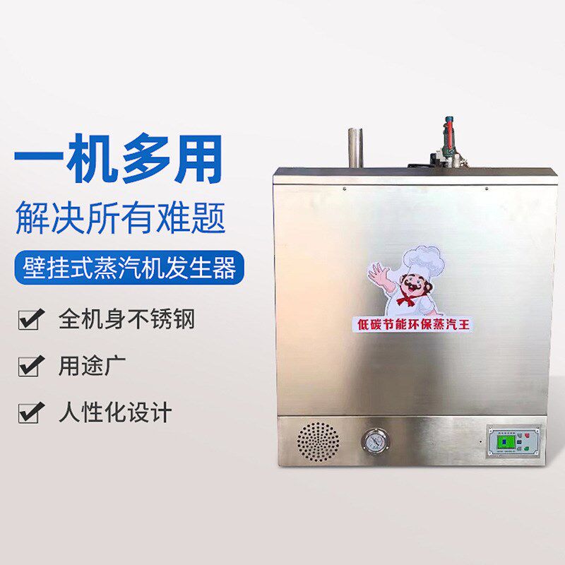 燃气蒸汽发生器 壁挂式燃气蒸汽发生机 蒸汽机燃气蒸汽机家用锅炉