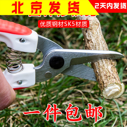 家用园艺修枝剪园林绿化果树w嫁接粗枝剪不锈钢修花枝专用剪刀工