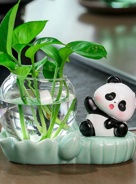卡通熊猫水培器皿花瓶透明玻璃