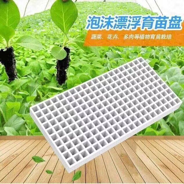 水上漂浮泡沫漂浮育苗盘泡沫育苗盘蔬菜药材育苗烤烟漂浮盘穴盘