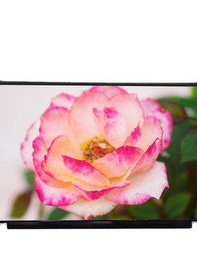 BOE BP101XW1-206 高清10.1寸 IPS 1280*800 LVDS 40P 液晶屏