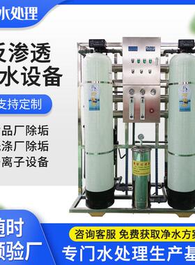 除垢去离子水设备1T/H净水设备食品厂洗涤厂用反渗透水处理设备