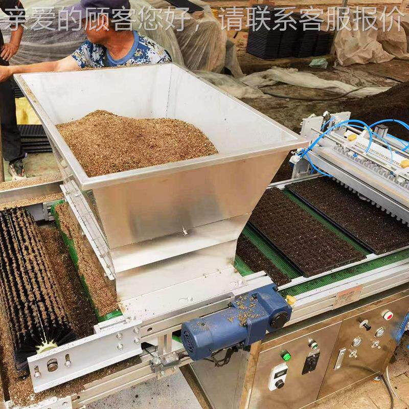 穴盘省播机 自动化省时力辣椒种蔬BIM育苗机菜运行稳定花卉用