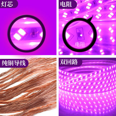 推荐led灯带紫光粉色紫色家用220v装饰浪漫创意KTV超亮户外防水灯