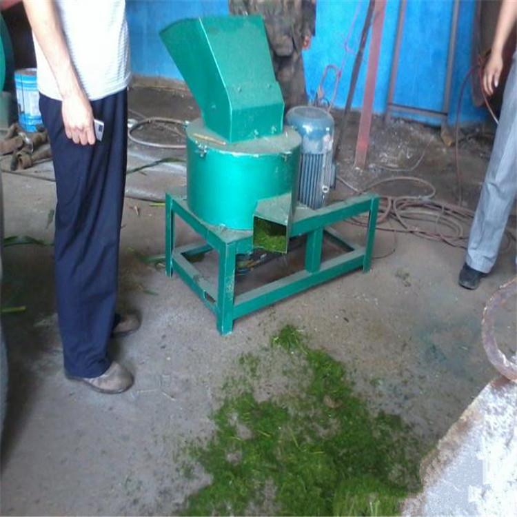 养殖猪饲料芹菜叶打浆机牧草瓜果菜叶打浆机红薯马铃薯帮打浆机