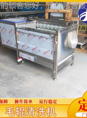 高压喷淋毛辊叶IVM类蔬菜去毛发清洗洗皮机平行式土毛豆辊去清机