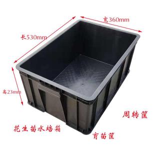 花生芽水培箱种植盆箱芽苗菜育苗盘无土栽培水培筐阳台种菜家用
