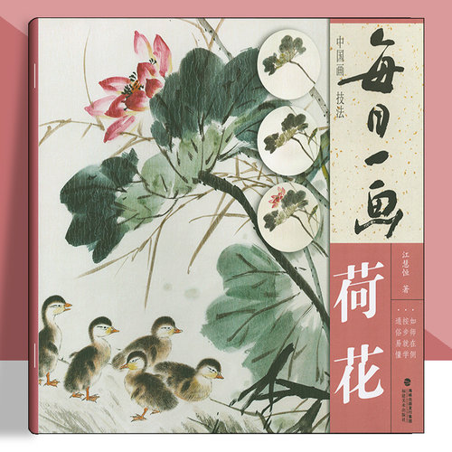每日一画荷花中国画技法绘画